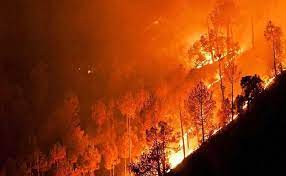 24 घंटे में 54 स्थानों पर वनों में लगी आग, कुमाऊं में सबसे ज्यादा धधक रहे जंगल